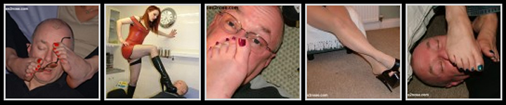 free toes2nose.com password